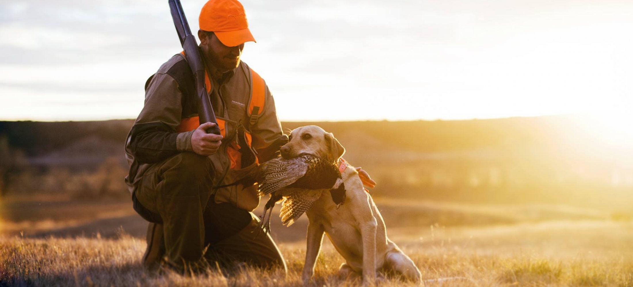 bestpheasanthuntinginsouthdakota Crooked Foot Hunt Club